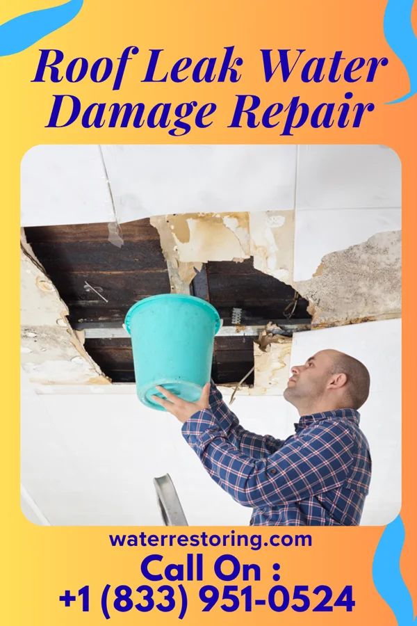 Roof Leak Water Damage Repair in Green Valley, SD